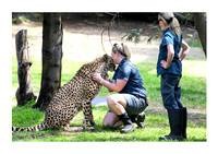 Amanda & Cheetah