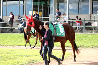 CHRC0547